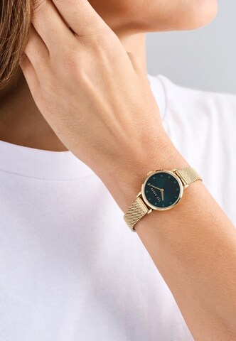 Ted Baker Analogt ur 'STACIIE' i guld: forside