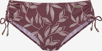 LASCANA Bikini donji dio veličine XS u zlatna / patlidžan, Pregled proizvoda