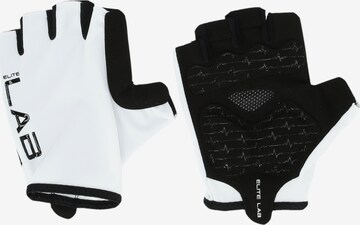 ELITE LAB Athletic Gloves 'Bike Elite Core' in Black: front