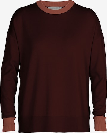 ICEBREAKER Athletic Sweater in Brown: front