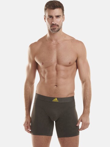 ADIDAS SPORTSWEAR Sportunterhose in Grau: predná strana