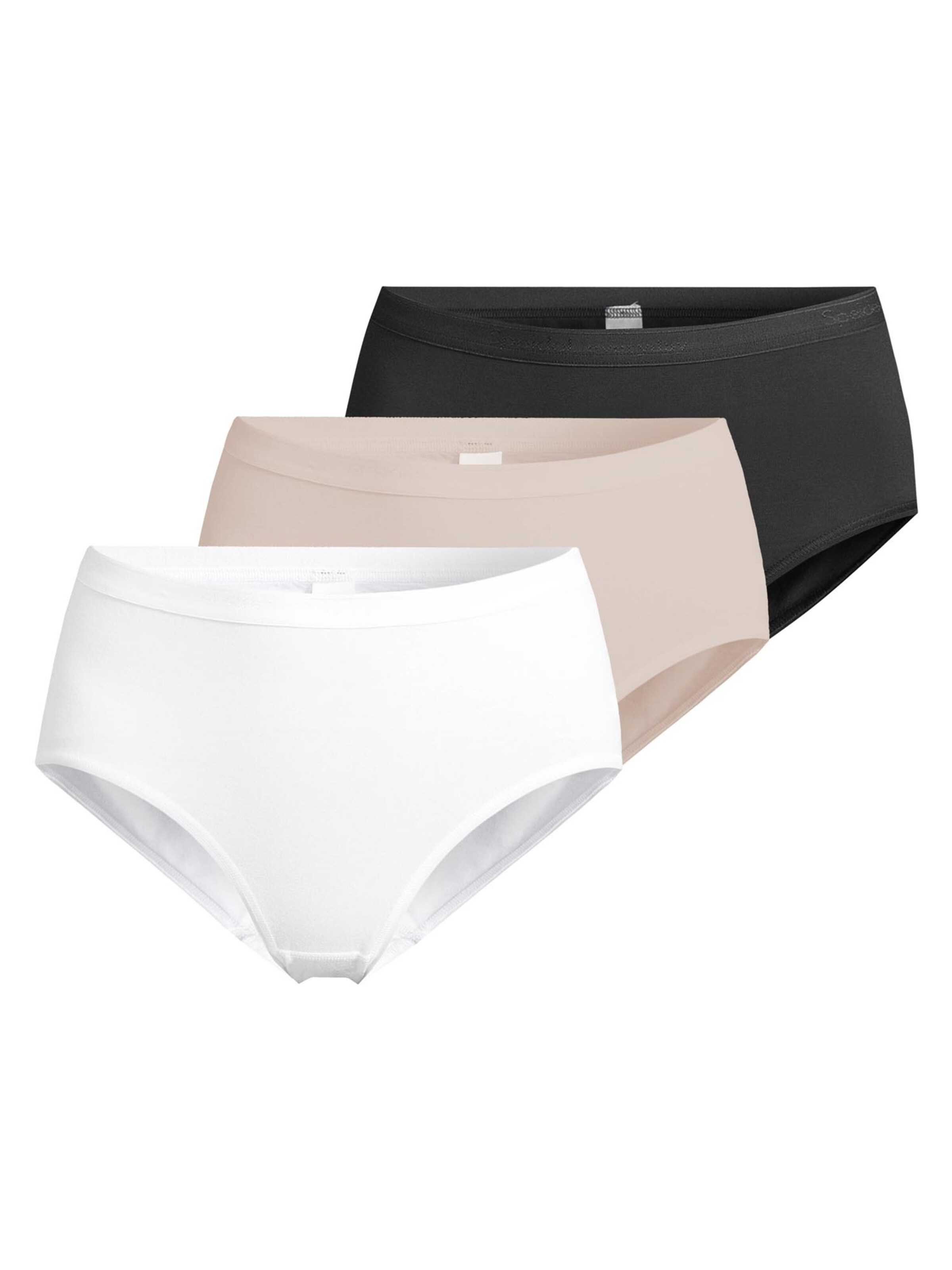 SPEIDEL Panty 'Everyday' in Mixed colors: front