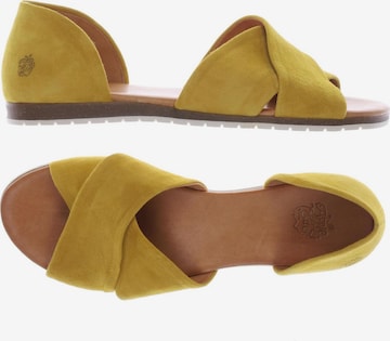 Apple of Eden Sandals & High-Heeled Sandals in 40 in Yellow: front