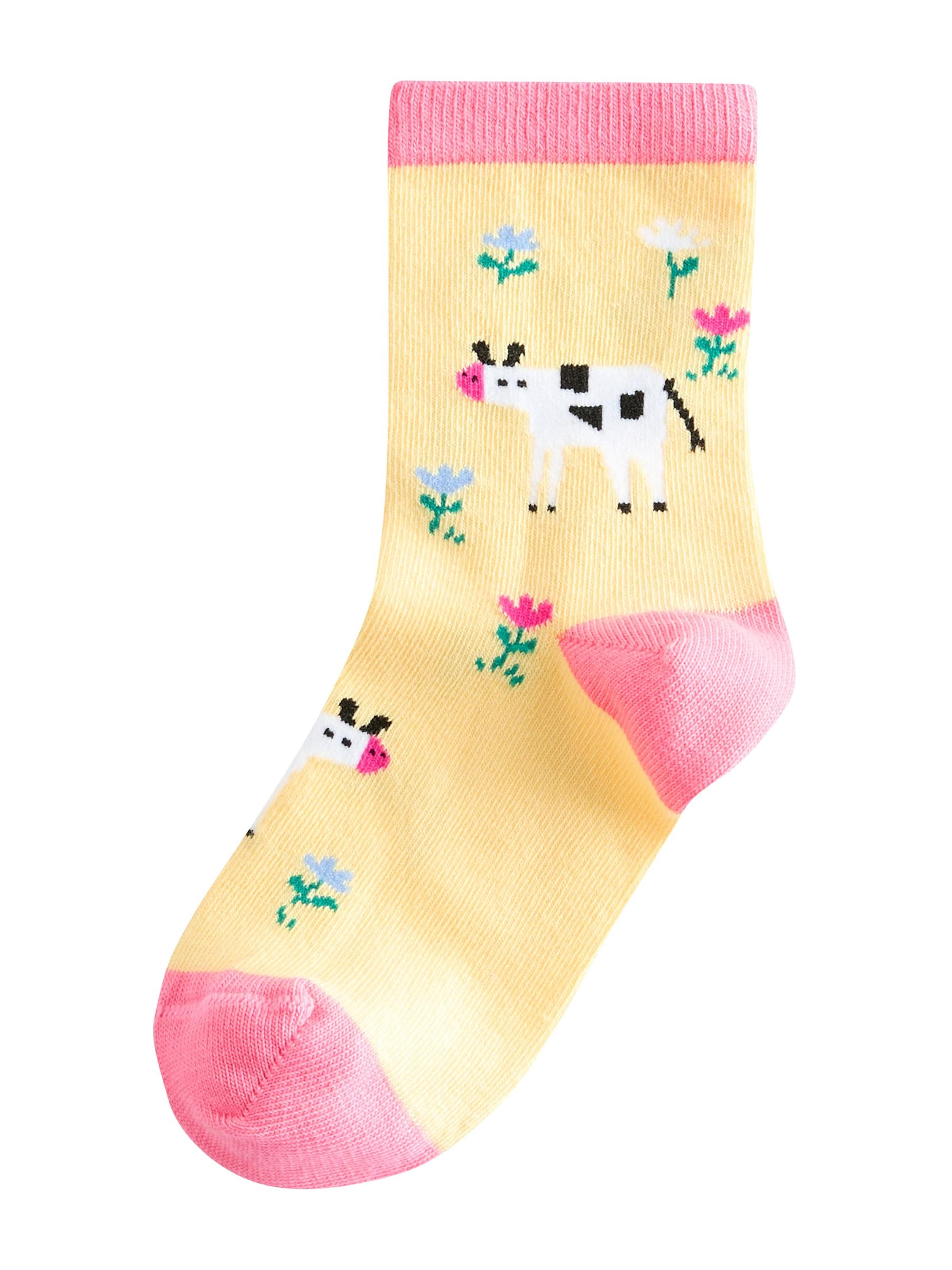 Next Socks in Blue