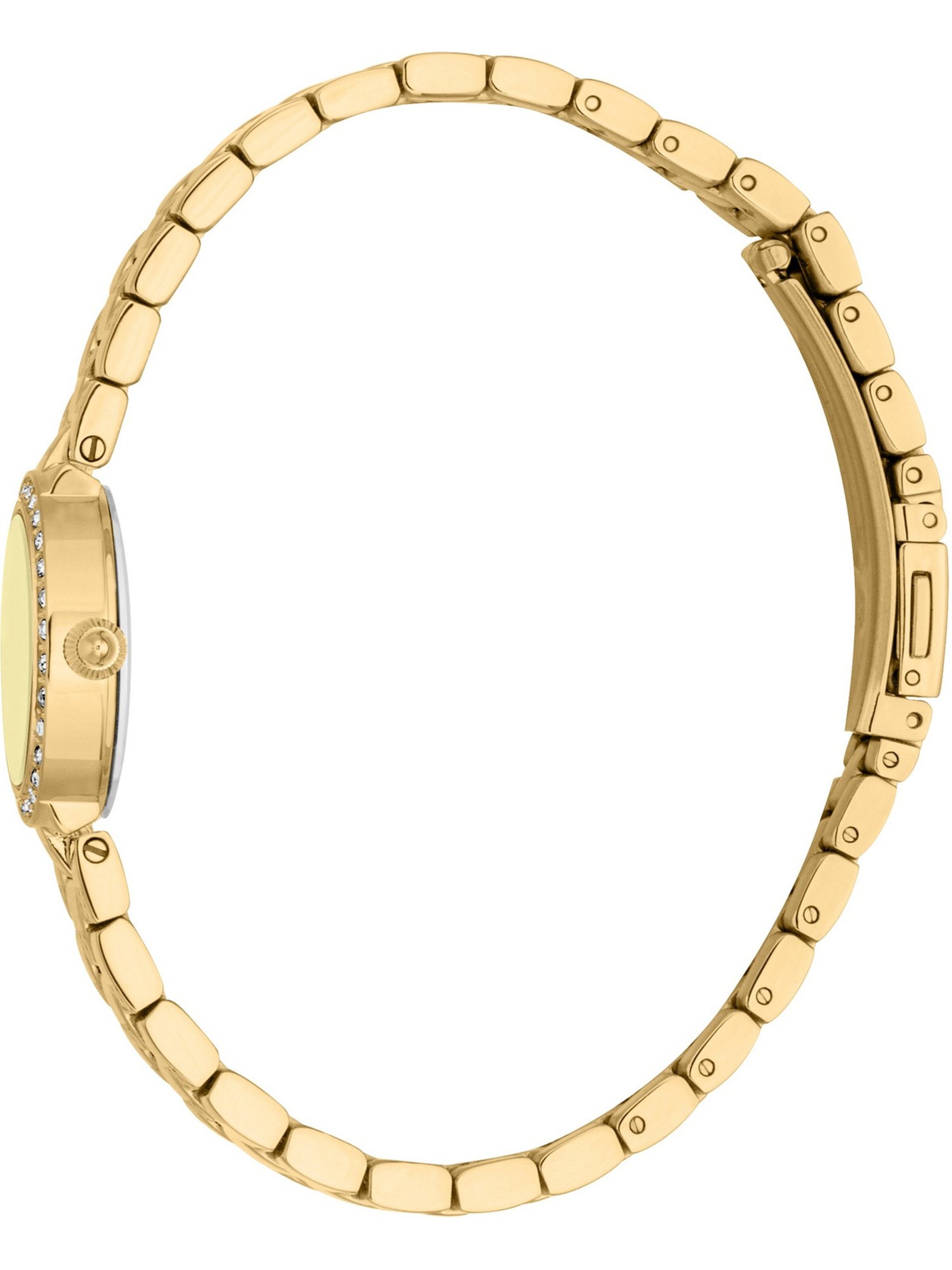 Just Cavalli Uhr in Gold