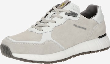 SALAMANDER Låg sneaker i grå: framsida