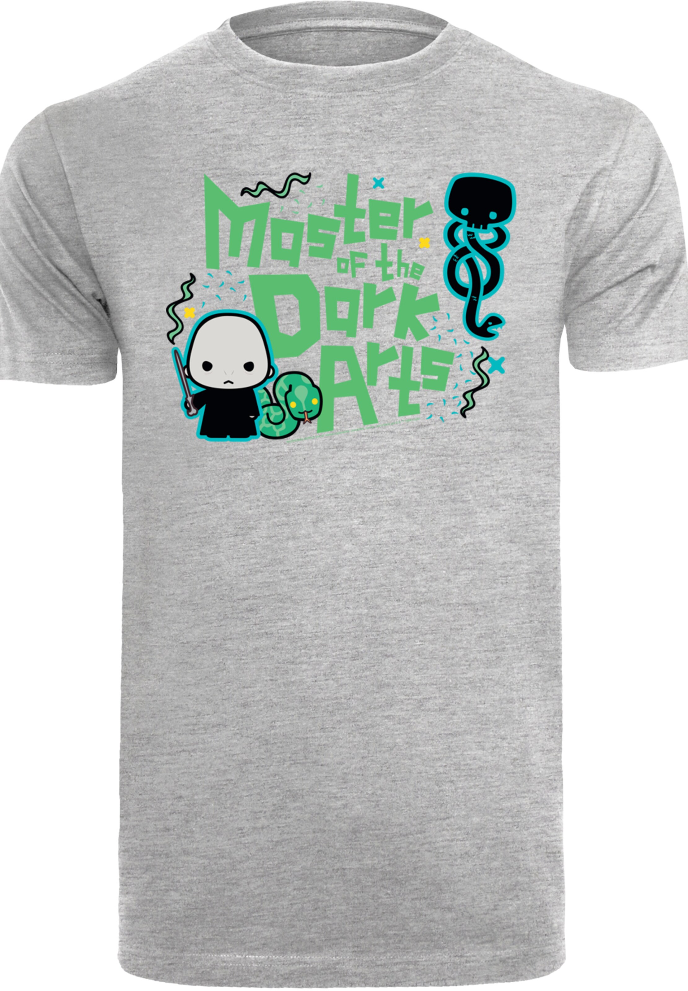 F4NT4STIC T-Shirt 'Harry Potter Voldemort Dark Arts' in Grau: Vorderseite