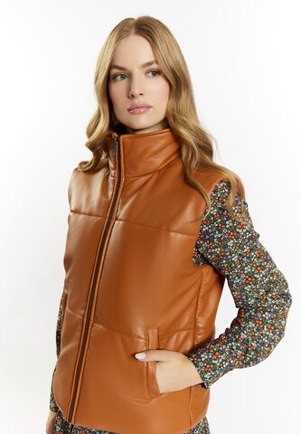 Gilet DreiMaster Vintage en marron