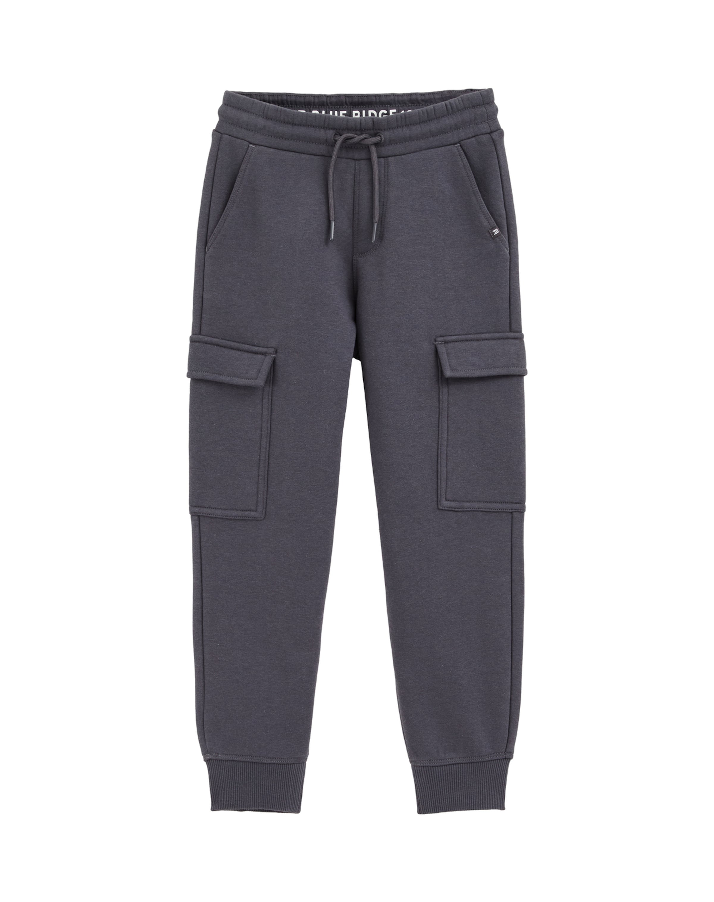 Tapered Pantaloni de la WE Fashion pe gri: față