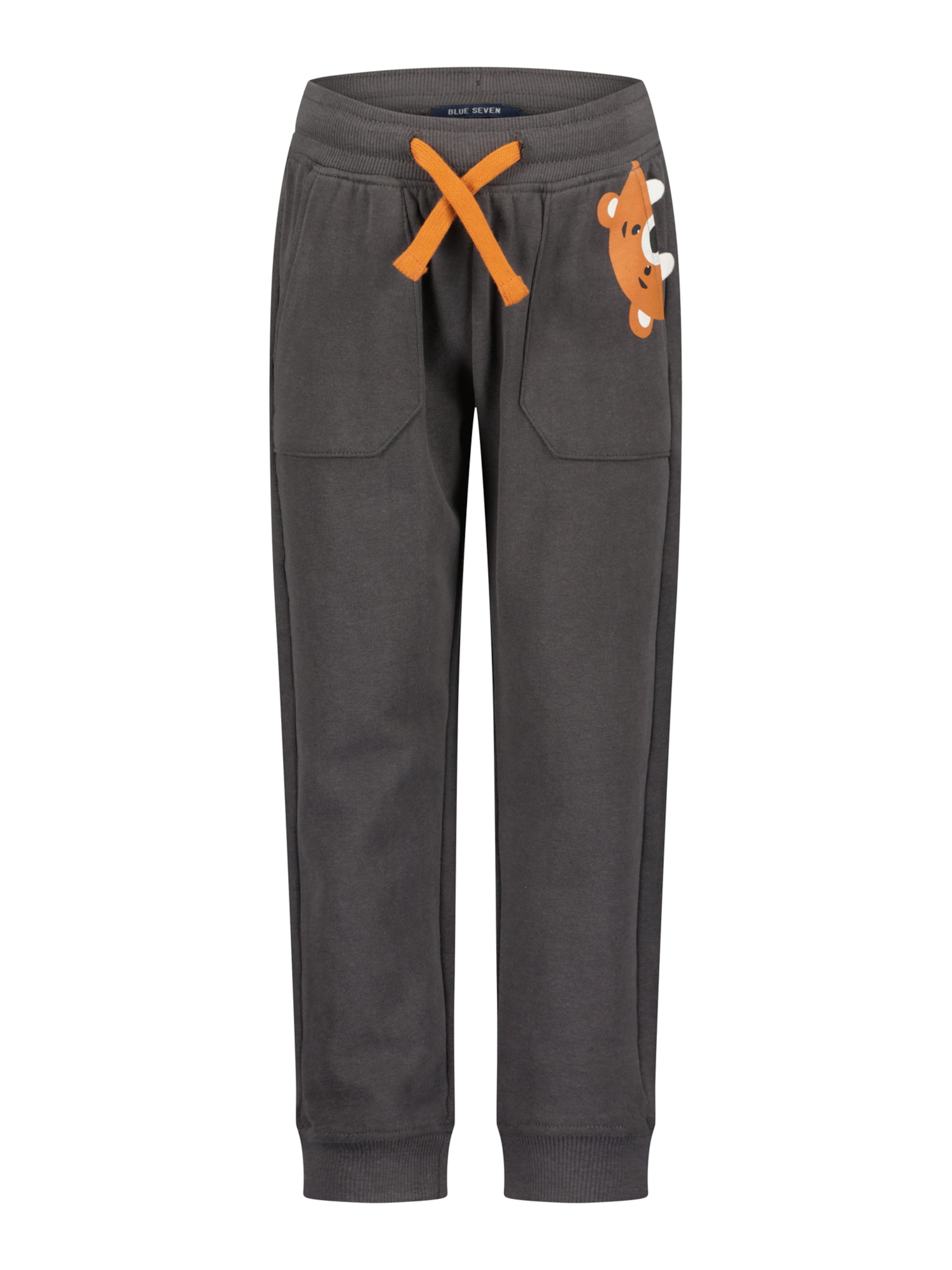 BLUE SEVEN Regular Pants in Grey: front