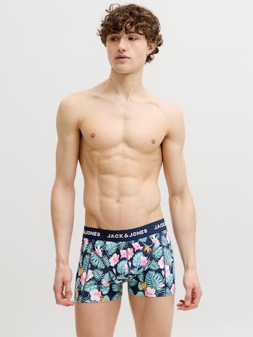 JACK & JONES Boxer shorts 'JACJEFFREY' in Blue: front