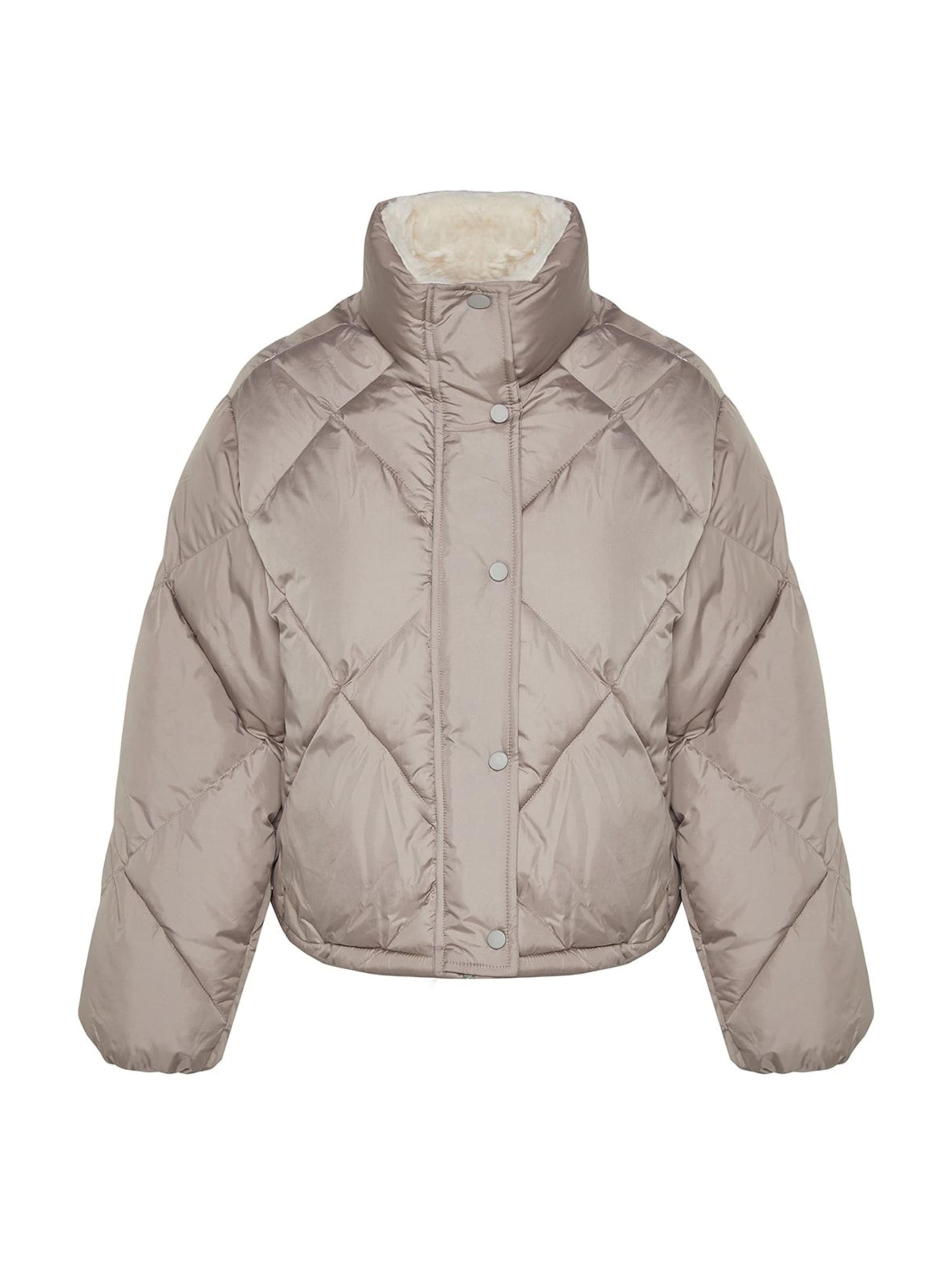 ruda Trendyol Žieminė striukė: priekis