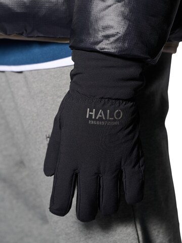 HALO Fingerhandschuhe in Schwarz