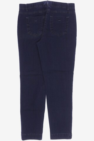 Peter Hahn Jeans in 30-31 in Blue