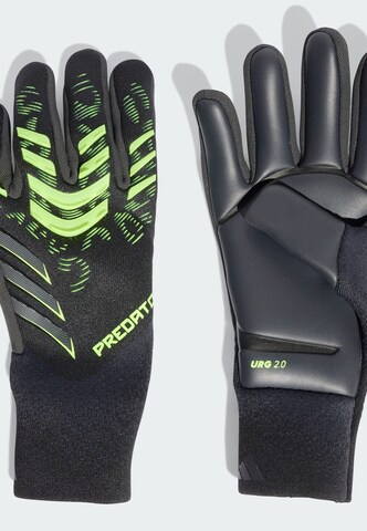 ADIDAS PERFORMANCE Sporthandschoenen 'Predator Pro' in Zwart