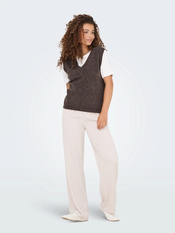 JDY Sweater 'JDYELANORA' in Brown