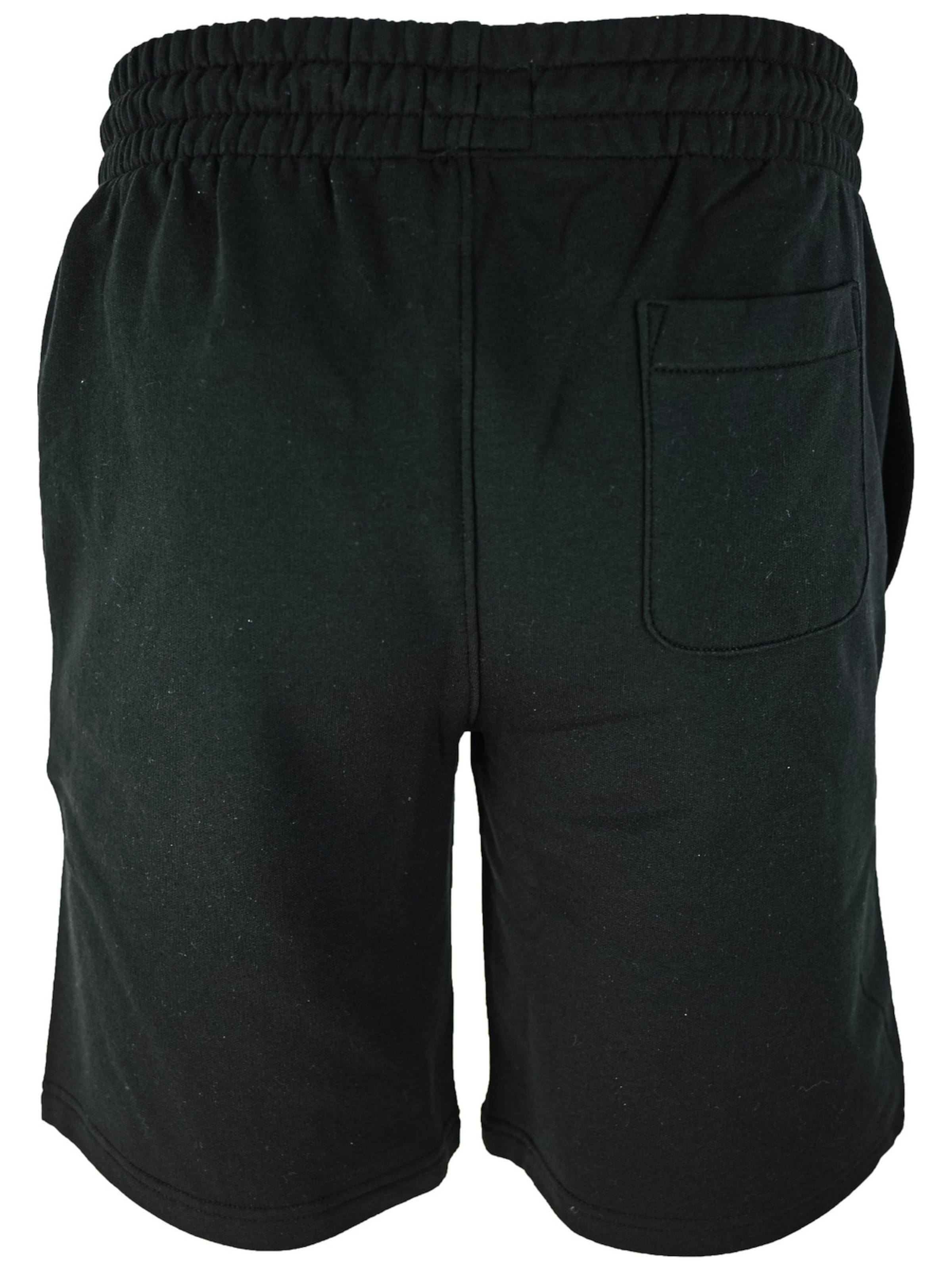 regular Pantaloni sportivi 'DC Shoes Riot' di DC Shoes in nero