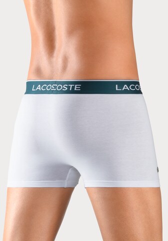 LACOSTE - Calzoncillo boxer 'Casualnoirs' en gris