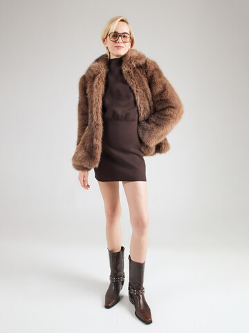 Robe & Other Stories en marron