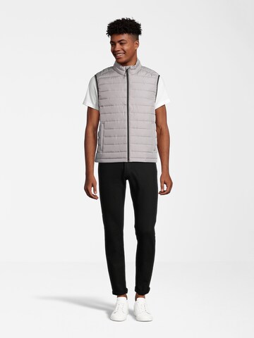 Gilet AÉROPOSTALE en gris