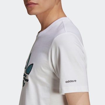 ADIDAS ORIGINALS Μπλουζάκι σε λευκό