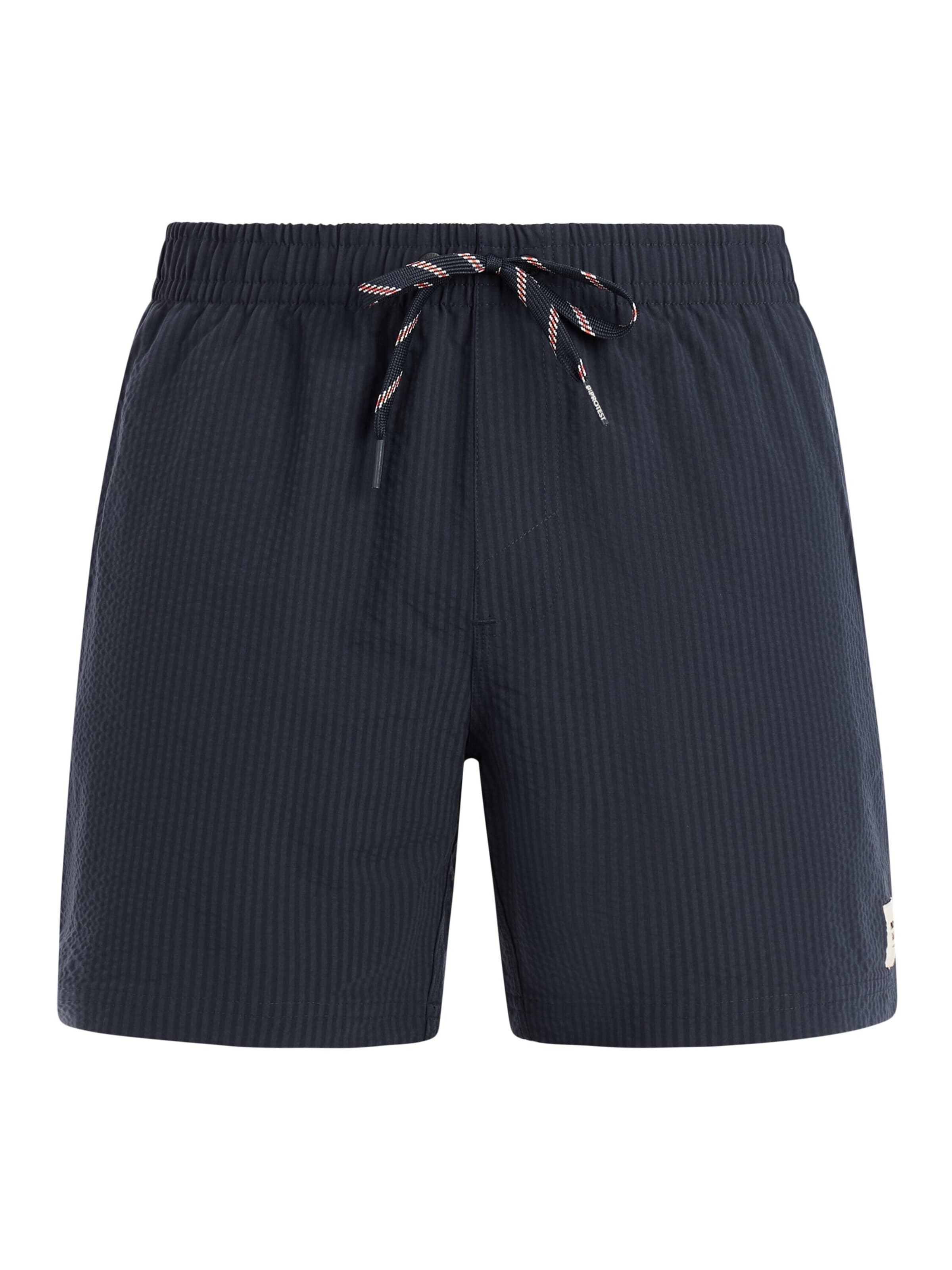 PROTEST Board Shorts 'PRTAgden' in L/Regular in Blue, Item view