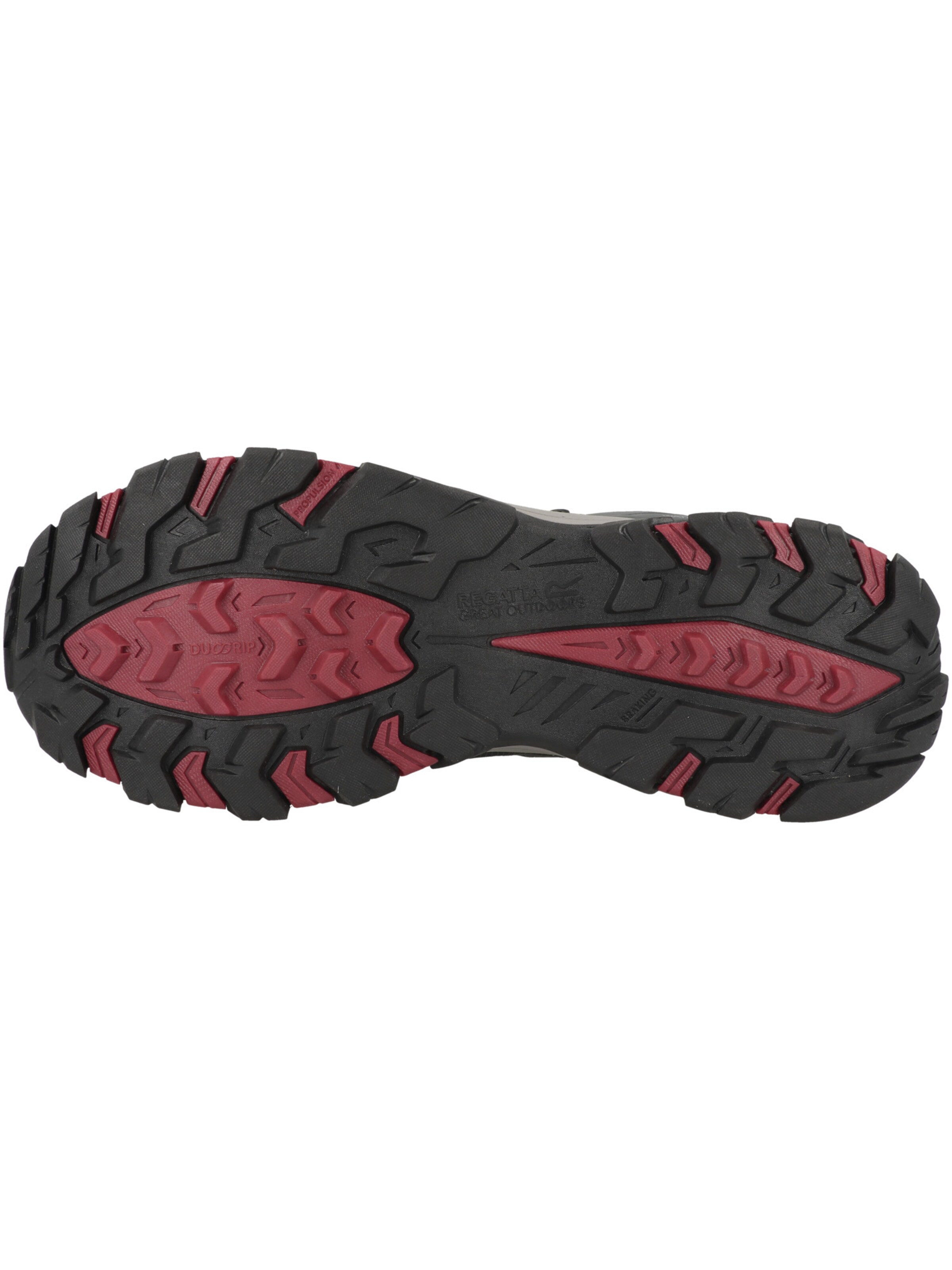 Scarpa bassa 'Holcombe III' di REGATTA in grigio