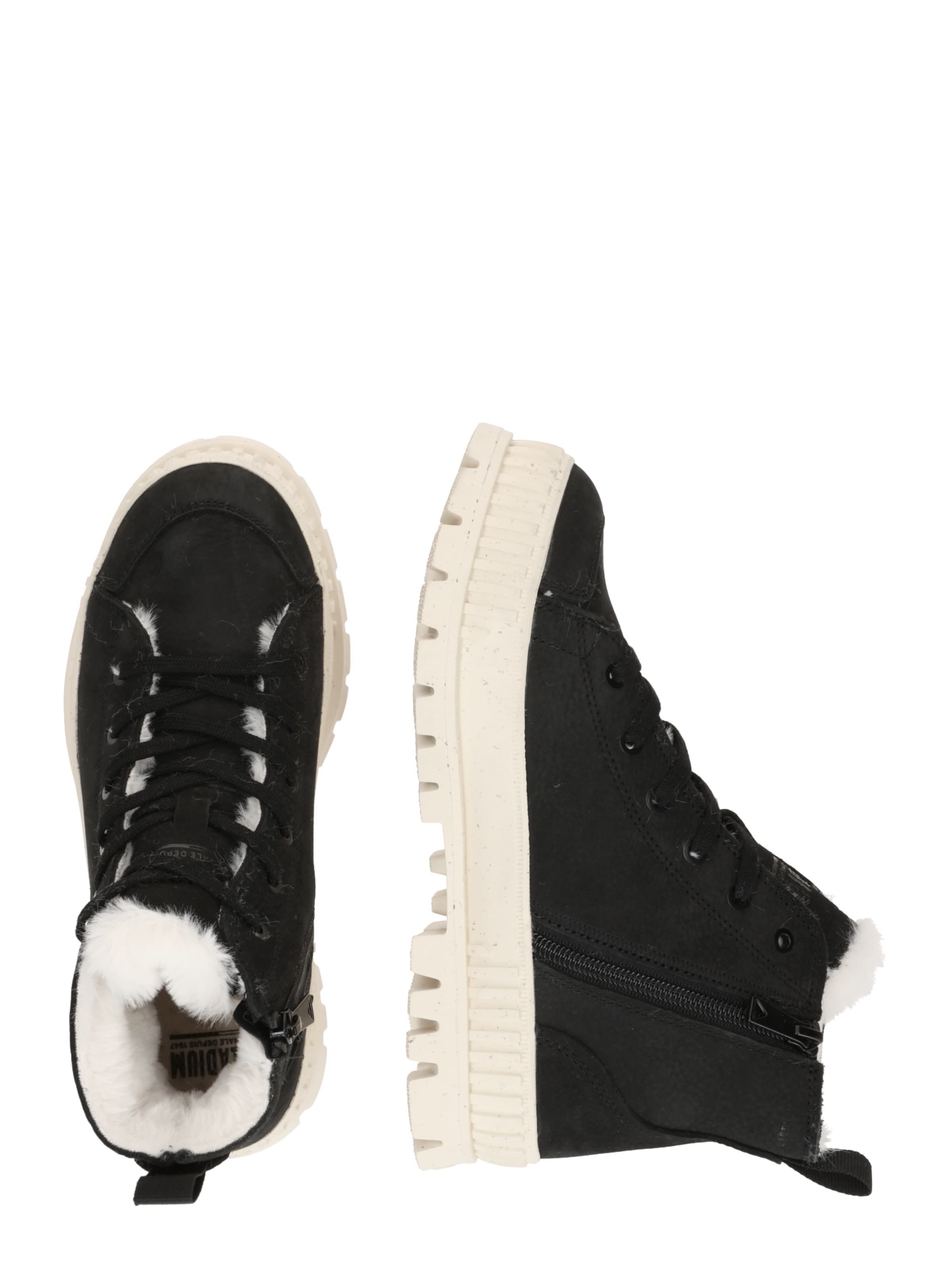 Palladium Lace-up bootie 'Pallashock' in Black