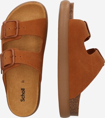 Mule 'NEW BOGOTA' SCHOLL en marron