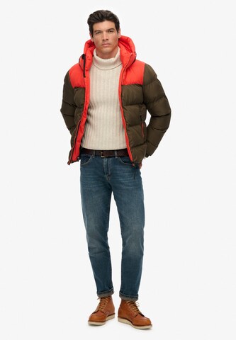 Veste mi-saison Superdry en marron