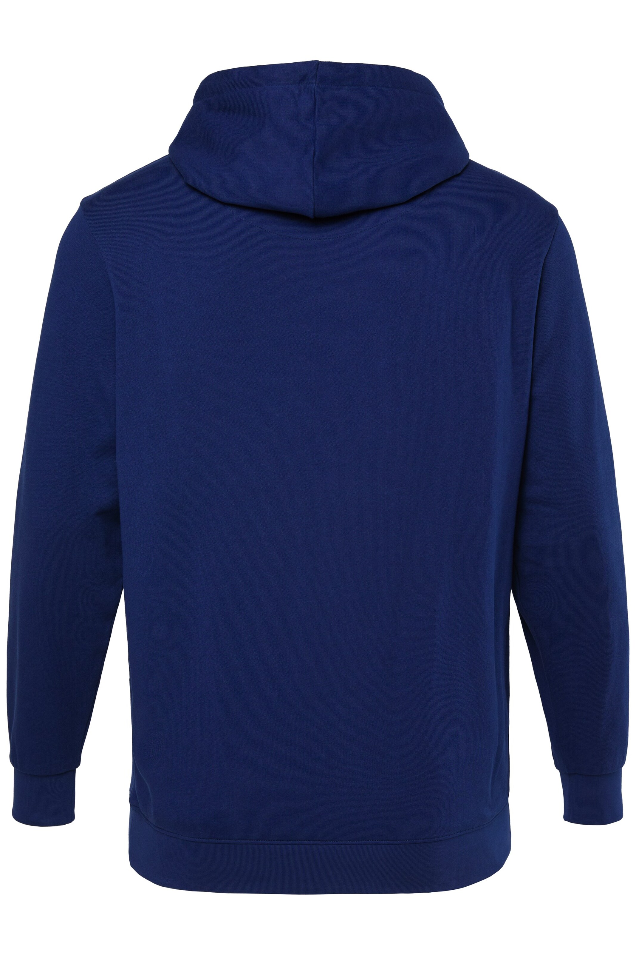 Men Plus Sweater in Blue