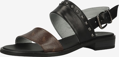 Nero Giardini Sandale in braun / schwarz, Produktansicht
