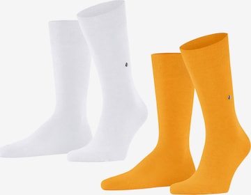 BURLINGTON Socks in Yellow: front