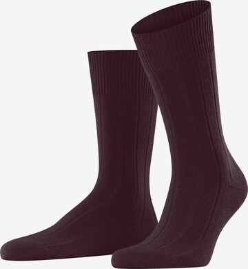 FALKE Socken 'Lhasa Rib' in Rot: Vorderseite