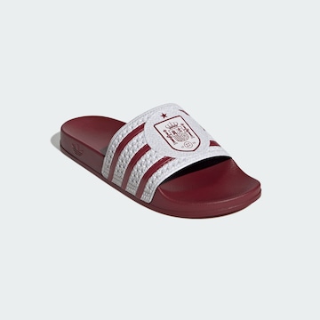 ADIDAS PERFORMANCE Strand-/badschoen in Rood