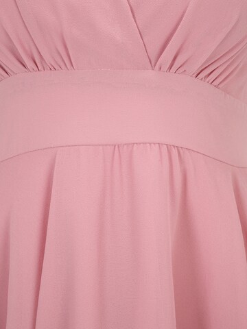 TFNC Kleid 'NORDI' in Pink