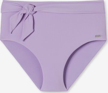 SCHIESSER Bikini Bottoms ' Aqua Californian Dream ' in Purple: front
