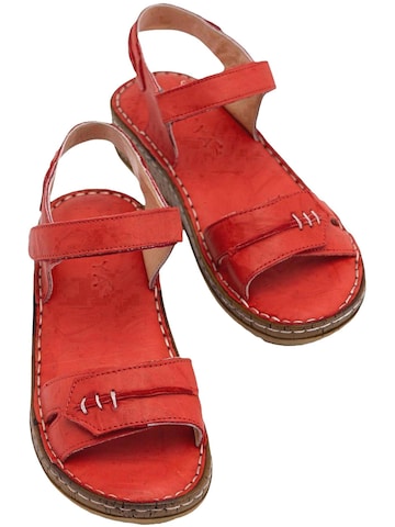 Limoya Sandaal 'Leone' in Rood