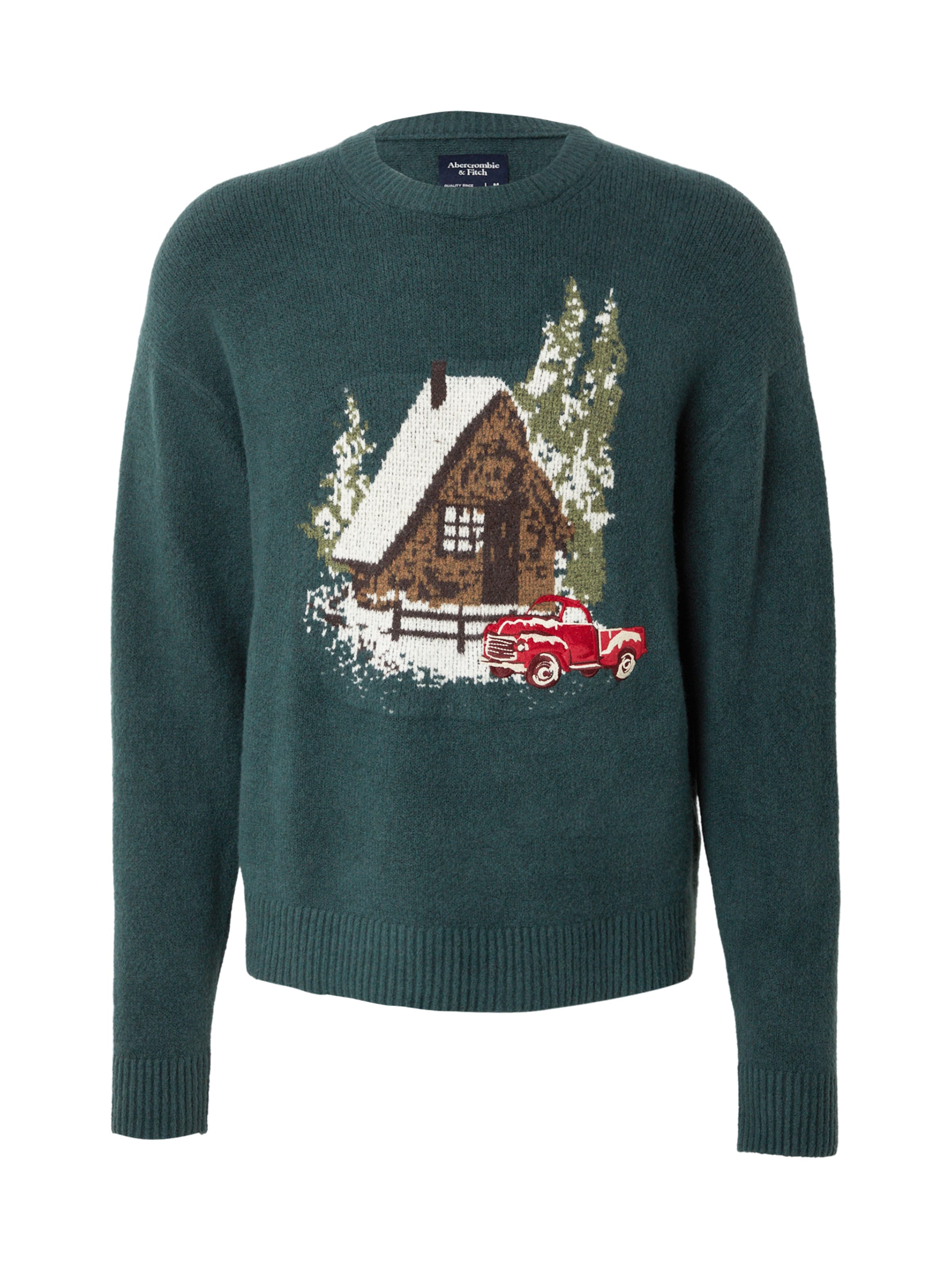Abercrombie & Fitch Sweater 'HOLIDAY NOVELTY' in Green: front