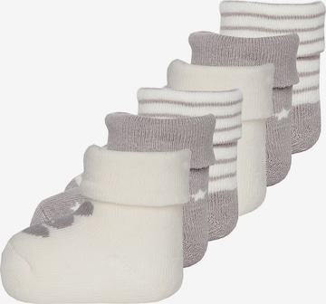 EWERS Socken in Grau: predná strana