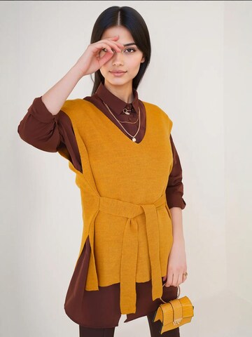 Bigdart - Pullover em amarelo