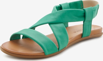 Sandalo di LASCANA in verde: frontale