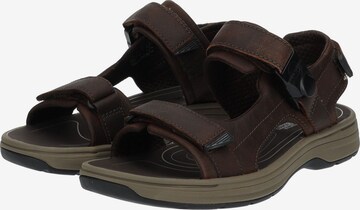 Sandales CLARKS en marron