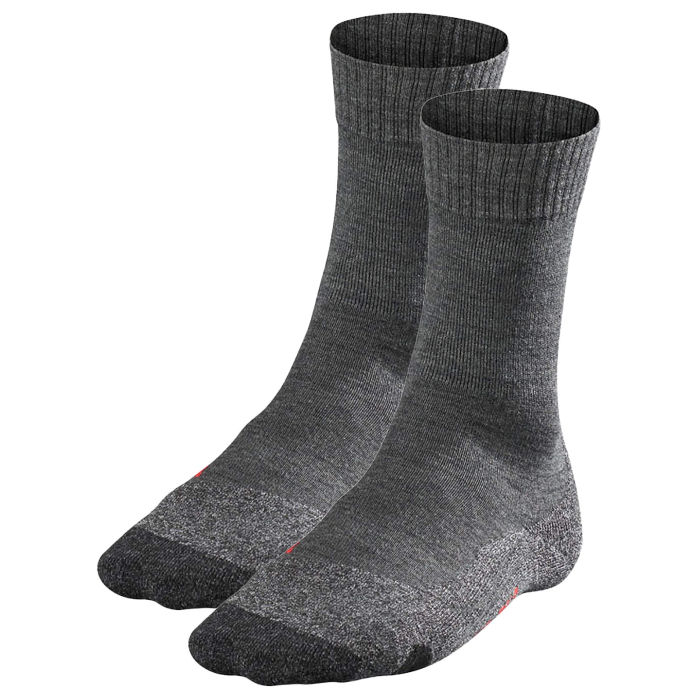 Chaussettes de sport FALKE en gris : devant