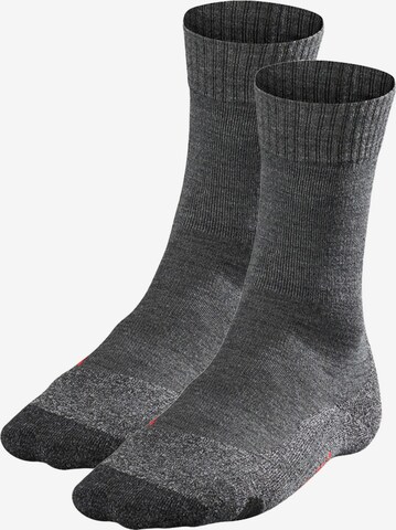 Chaussettes de sport FALKE en gris : devant