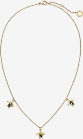 Paul Hewitt Necklace in Gold: front