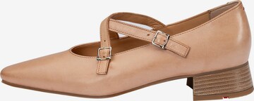 Ballerina di LLOYD in marrone: frontale