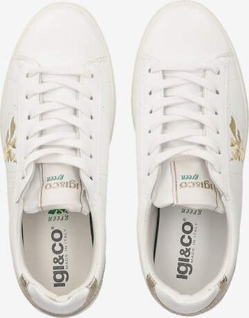 IGI&CO Sneakers in White