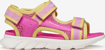 GEOX Sandals in Pink: front