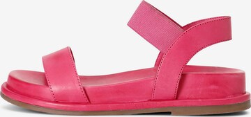 Sandalo di CAFè NOIR in rosa: frontale